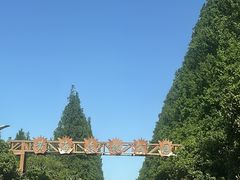 -黄海国家森林公园