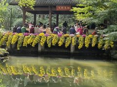 -杭州植物园
