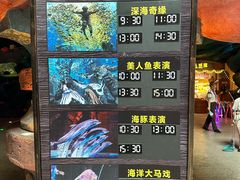 -哈尔滨波塞冬海底世界