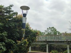 -立新湖公园