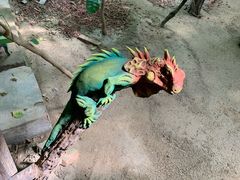 -北京呀路古热带植物园