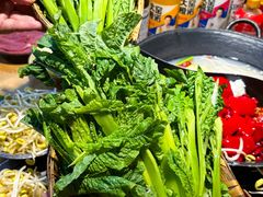 -阳阳老火锅(小南门店)