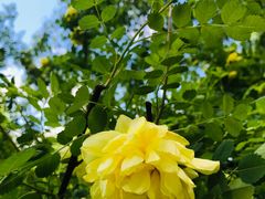 -长春公园(普阳街道)