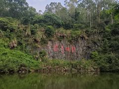 -水濂山森林公园