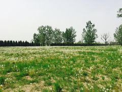 -汉长安城未央宫国家考古遗址公园