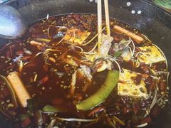 -仔耳朵冷锅鱼蛙芋儿鸡(莲花东路店)