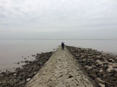 -瀛洲公园