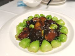 香菇菜心面筋煲-乾隆美食·本帮菜(黄河路店)