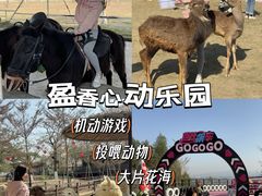 -盈香心动乐园