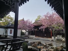 -常熟方塔园