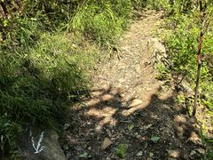 -龙泉峪长城