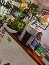 -腾龙刺青纹身TATTOO