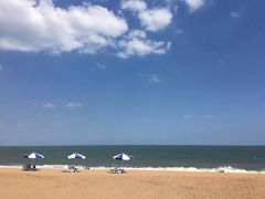 -日照海滨国家森林公园