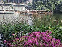 -荔湾湖公园