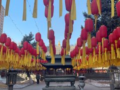 -护国法轮寺