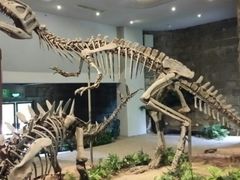 -自贡恐龙博物馆