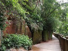 -赤水丹霞旅游区·佛光岩