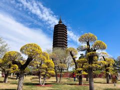 -西海子公园