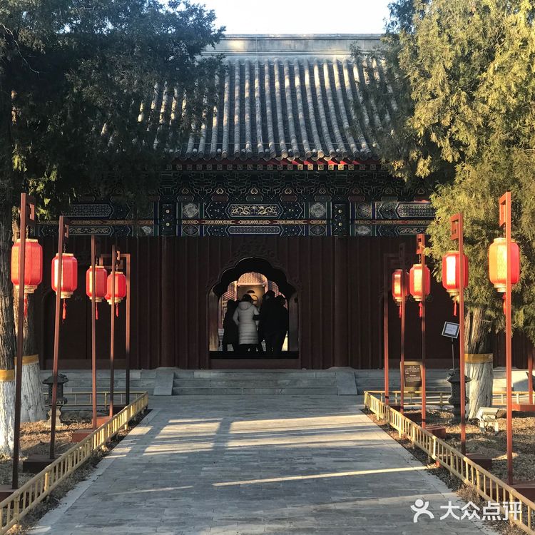 马首回归，圆梦圆明