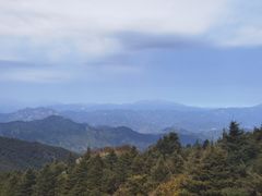 -白草畔自然风景区