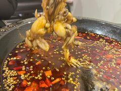 -蛙老爹·蜀香美蛙鱼头(王家湾店)