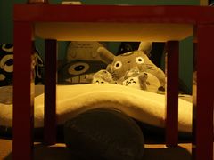 -粉墨私人影院•无人自助(维多利亚店)