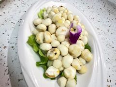 -墨脱石锅椰子鸡•海鲜糟粕醋(榆亚路店)