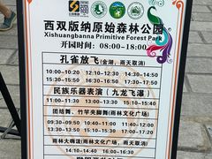 -西双版纳原始森林公园
