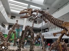 -中国地质大学逸夫博物馆