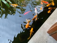 -三亚亚龙湾五号度假别墅酒店
