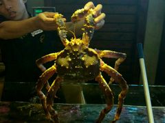 -蟹之国·精品蟹料理(极地店)