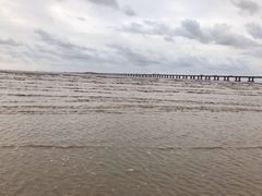 -南汇新城海滩