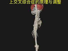 -Dr.stretch·拉伸博士(环球金融中心店)