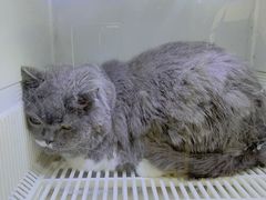 -沐沐家宠物(成寿寺店)