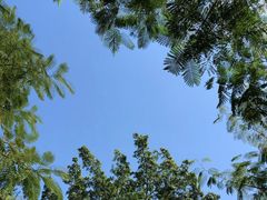 -厦门园林博览苑