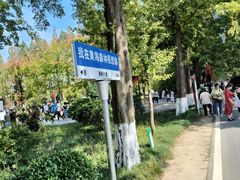 -黄海国家森林公园