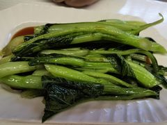 白灼广东菜心-昌勝香港深井烧鹅(新年华店)