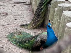 -昆山城市生态森林公园