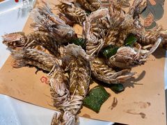 -大家发海鲜城夜排档(华山中路店)