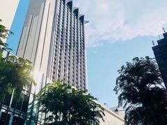 -新加坡乌节希尔顿酒店 (SG Clean)