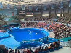 -海合安成都极地海洋公园