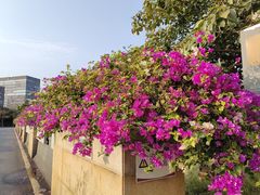 -深圳大学(丽湖校区)