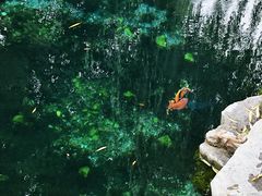 -咱家王新国把子肉(县东巷店)