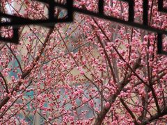 -东林广场(地铁站)