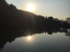 -王借岗森林公园
