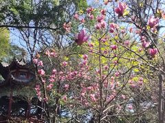-乌山风景区
