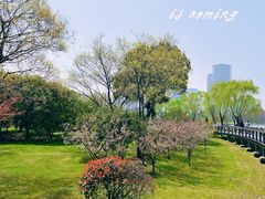 -尚贤河湿地