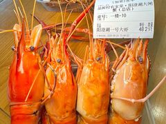 -品鲜村农家菜·阳澄湖大闸蟹(总店)