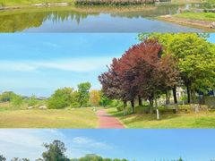 -两河城市森林公园