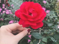 -江西财经大学(蛟桥园南校区)